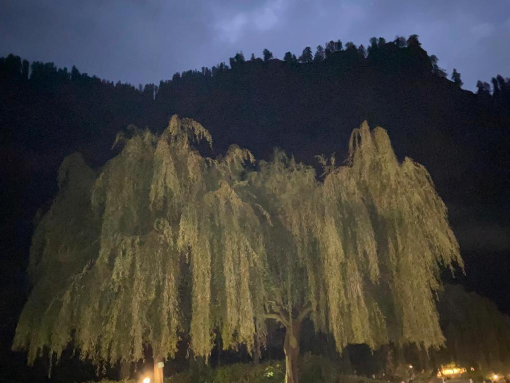Solang Valley Resort Manāli Exterior foto